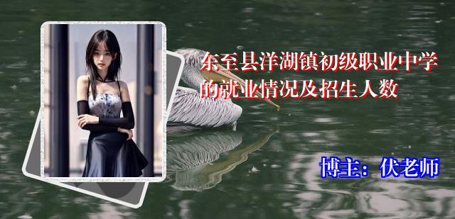 东至县洋湖镇初级职业中学的就业情况及招生人数