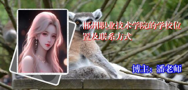 郴州职业技术学院的学校位置及联系方式