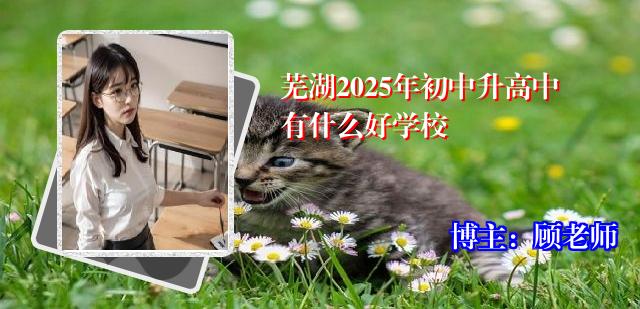 芜湖2025年初中升高中有什么好学校