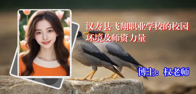 汉寿县飞翔职业学校的校园环境及师资力量