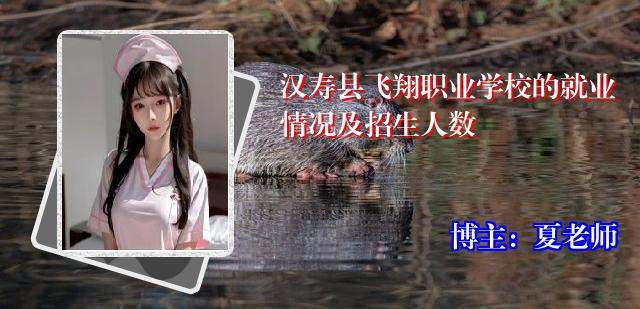 汉寿县飞翔职业学校的就业情况及招生人数