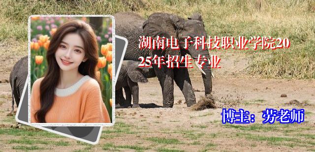 湖南电子科技职业学院2025年招生专业