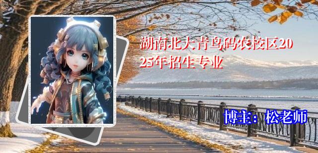 湖南北大青鸟码农校区2025年招生专业
