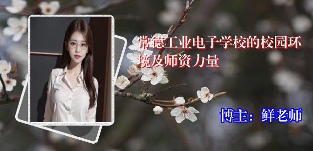 常德工业电子学校的校园环境及师资力量