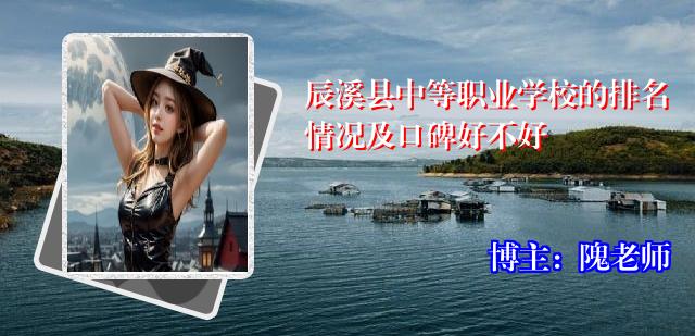 辰溪县中等职业学校的排名情况及口碑好不好