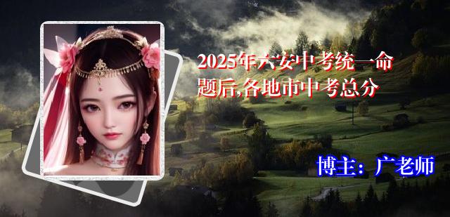 2025年六安中考统一命题后,各地市中考总分