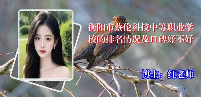 衡阳市蔡伦科技中等职业学校的排名情况及口碑好不好