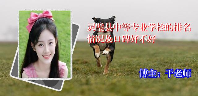 灵璧县中等专业学校的排名情况及口碑好不好