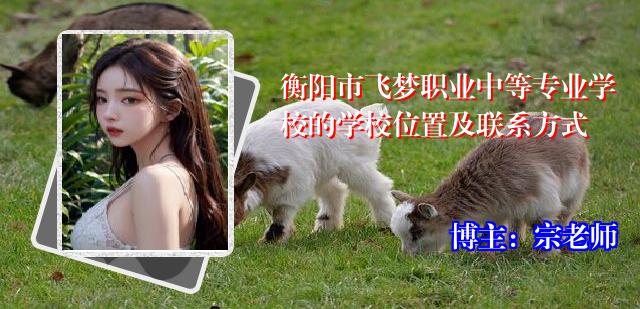 衡阳市飞梦职业中等专业学校的学校位置及联系方式