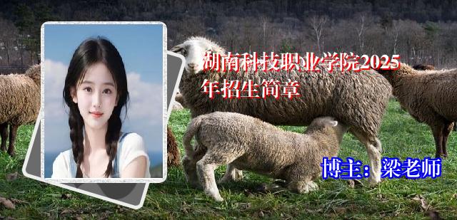 湖南科技职业学院2025年招生简章