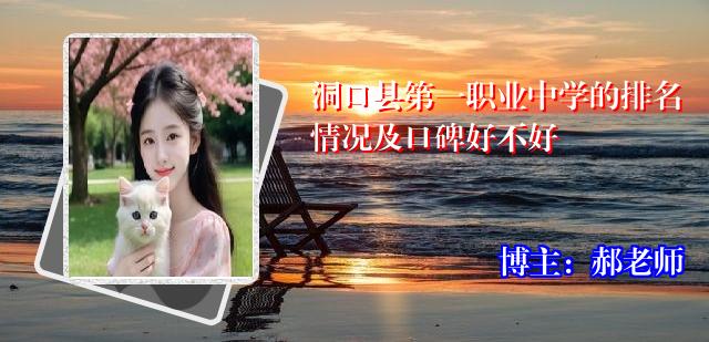 洞口县第一职业中学的排名情况及口碑好不好