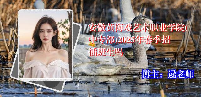 安徽黄梅戏艺术职业学院(中专部)2025年春季招插班生吗