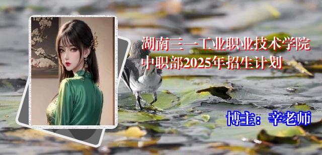 湖南三一工业职业技术学院中职部2025年招生计划