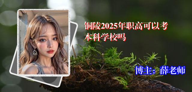 铜陵2025年职高可以考本科学校吗