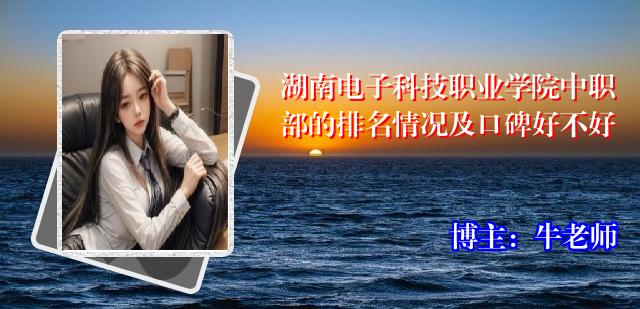 湖南电子科技职业学院中职部的排名情况及口碑好不好