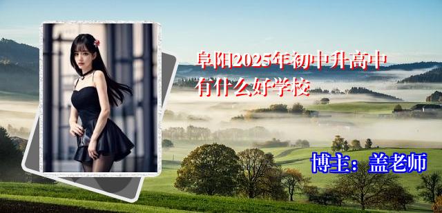 阜阳2025年初中升高中有什么好学校