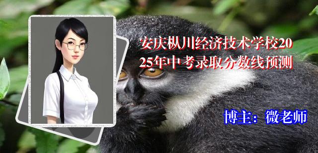 安庆枞川经济技术学校2025年中考录取分数线预测