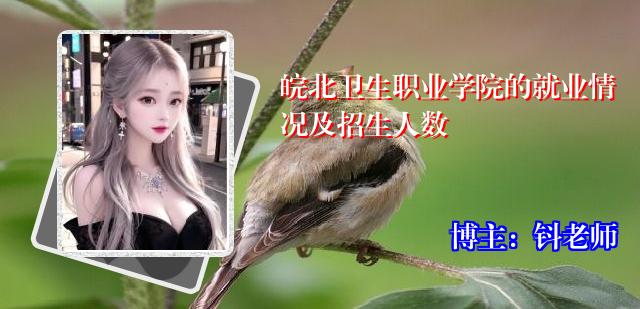 皖北卫生职业学院的就业情况及招生人数