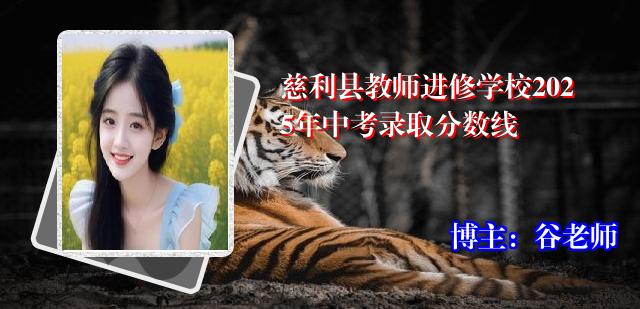 慈利县教师进修学校2025年中考录取分数线