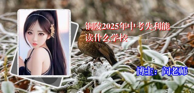 铜陵2025年中考失利能读什么学校