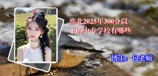 淮北2025年300分以下的中专学校有哪些