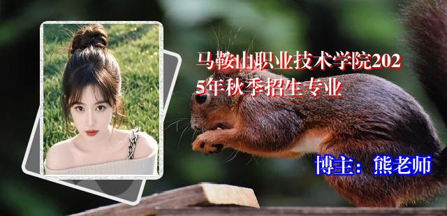 马鞍山职业技术学院2025年秋季招生专业