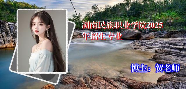 湖南民族职业学院2025年招生专业