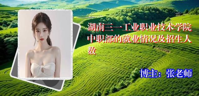 湖南三一工业职业技术学院中职部的就业情况及招生人数