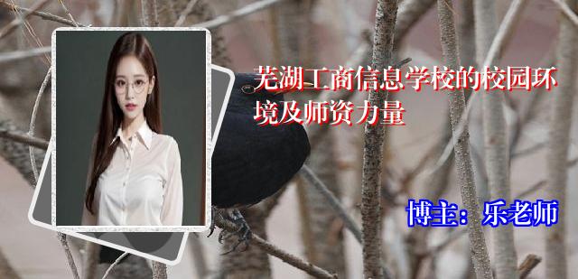 芜湖工商信息学校的校园环境及师资力量