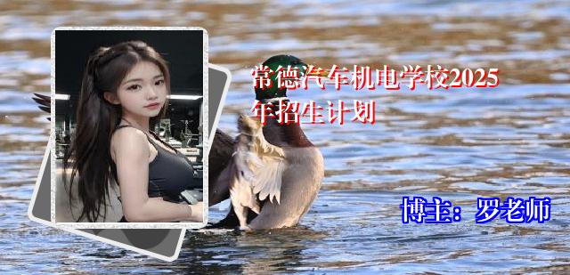常德汽车机电学校2025年招生计划