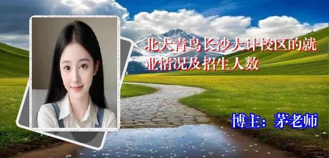 北大青鸟长沙大计校区的就业情况及招生人数