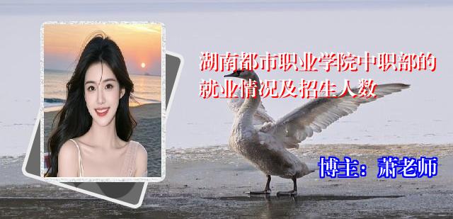湖南都市职业学院中职部的就业情况及招生人数