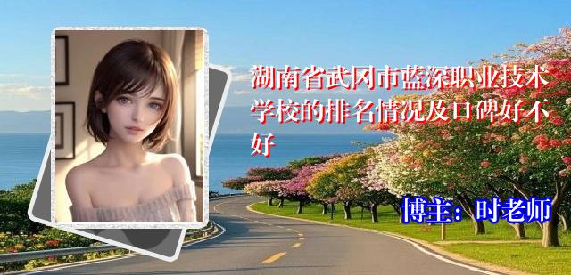 湖南省武冈市蓝深职业技术学校的排名情况及口碑好不好