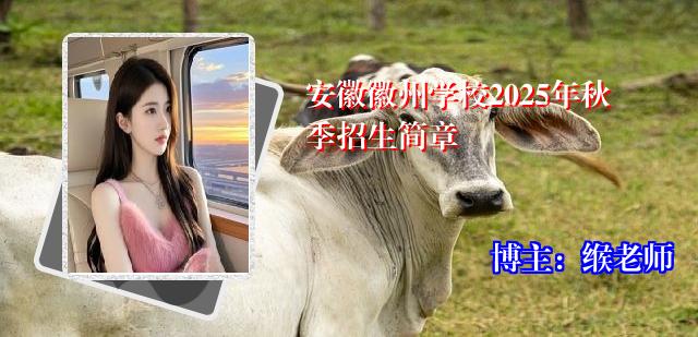 安徽徽州学校2025年秋季招生简章