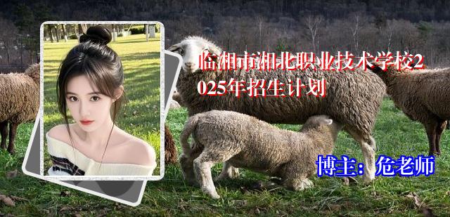 临湘市湘北职业技术学校2025年招生计划