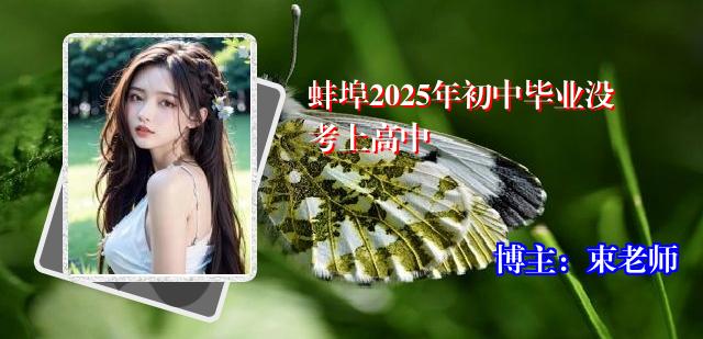 蚌埠2025年初中毕业没考上高中