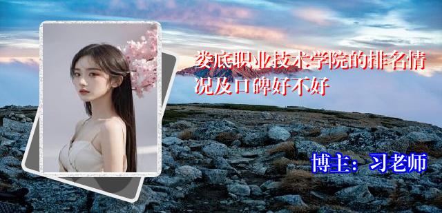 娄底职业技术学院的排名情况及口碑好不好