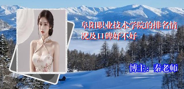 阜阳职业技术学院的排名情况及口碑好不好