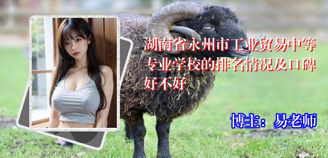 湖南省永州市工业贸易中等专业学校的排名情况及口碑好不好