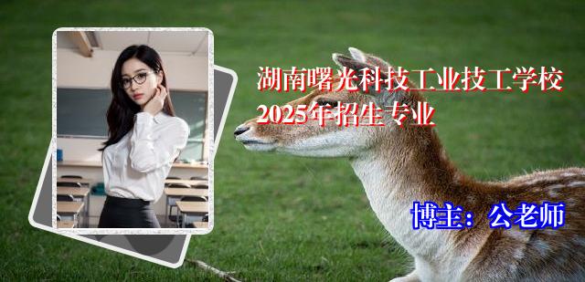 湖南曙光科技工业技工学校2025年招生专业
