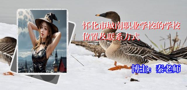 怀化市城南职业学校的学校位置及联系方式