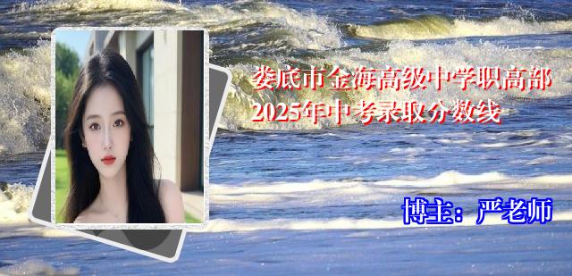 娄底市金海高级中学职高部2025年中考录取分数线