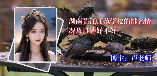 湖南芷江师范学校的排名情况及口碑好不好