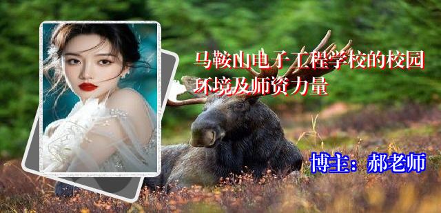 马鞍山电子工程学校的校园环境及师资力量