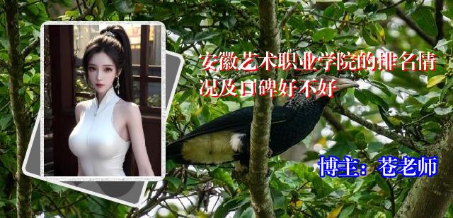 安徽艺术职业学院的排名情况及口碑好不好