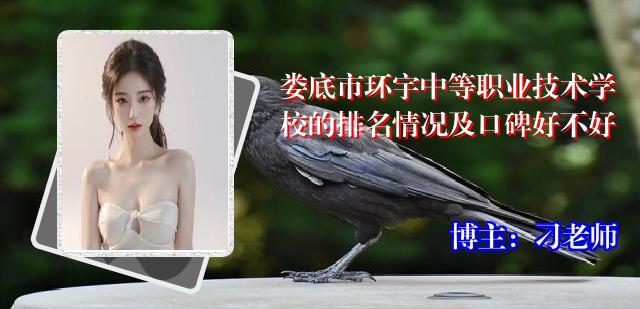娄底市环宇中等职业技术学校的排名情况及口碑好不好