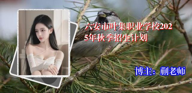 六安市叶集职业学校2025年秋季招生计划