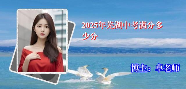 2025年芜湖中考满分多少分