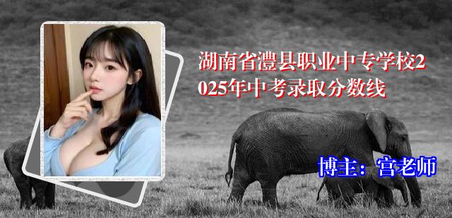 湖南省澧县职业中专学校2025年中考录取分数线