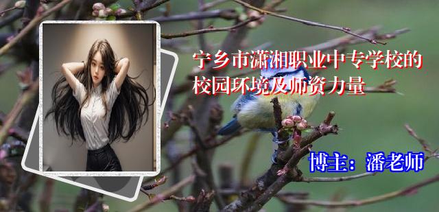 宁乡市潇湘职业中专学校的校园环境及师资力量